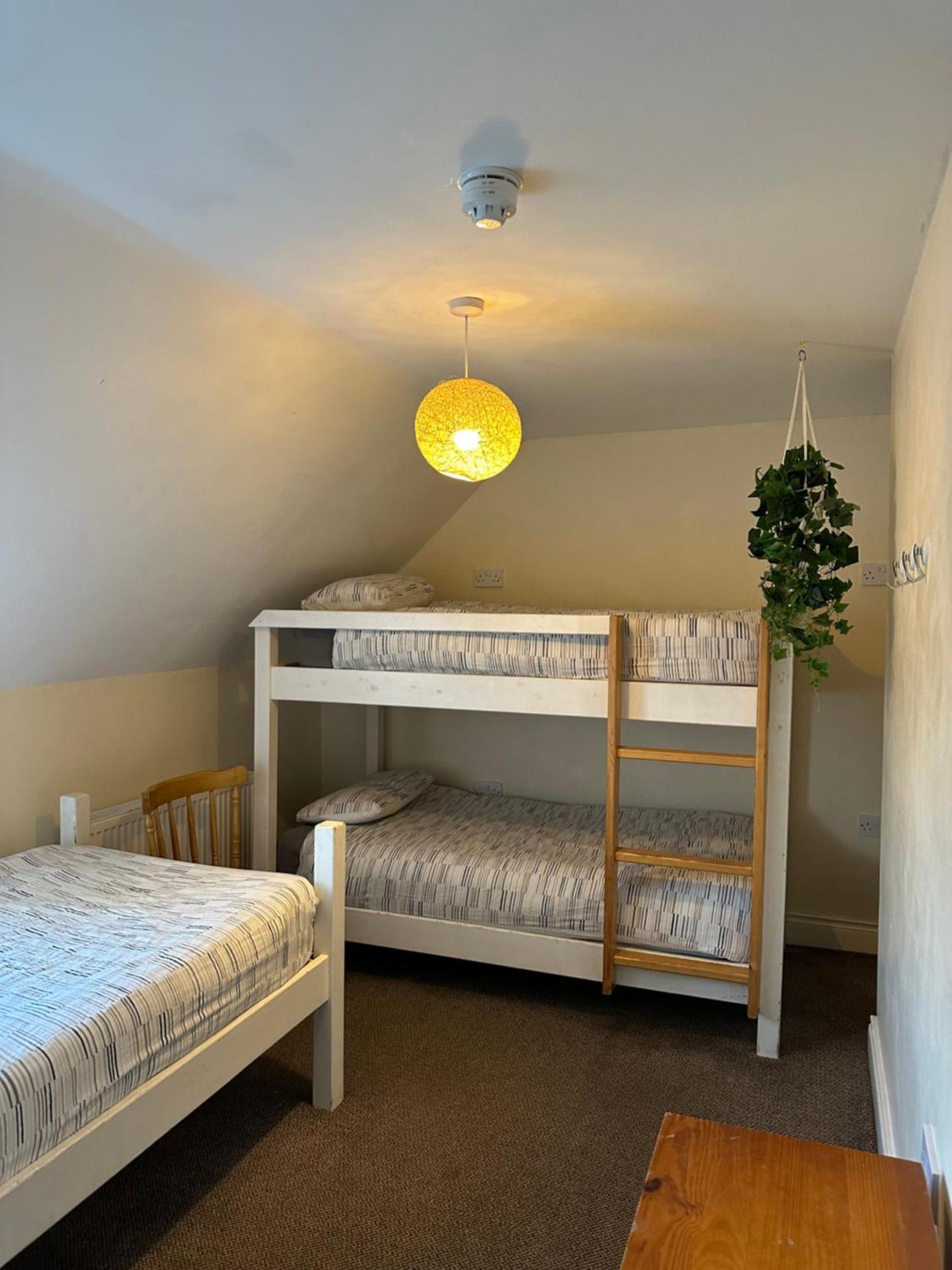 The Grapevine Hostel Дінгл Екстер'єр фото